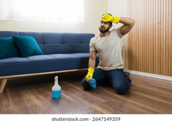 环境卫生管理服务